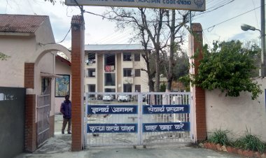 नवोदय विद्यालय में छठी कक्षा के लिए ऑनलाइन आवेदन 31 तक