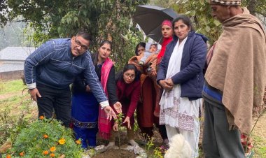 पौधारोपण से दिया बेटी बचाओ, बेटी पढ़ाओ का संदेश