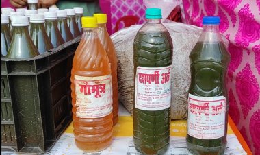 केमिकल्स और खाद के बगैर बढ़ाई पैदावार, फसल के दाम भी चोखे