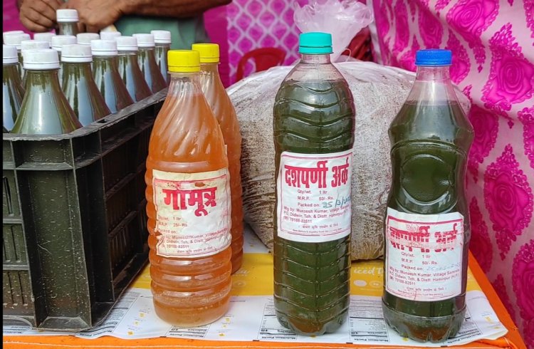 केमिकल्स और खाद के बगैर बढ़ाई पैदावार, फसल के दाम भी चोखे