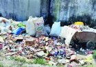 शहर के बाजारों व वार्डो में सफाई व्यवस्था खोल रही नगर परिषद की पोल