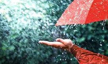 किसान बेमौसमी बारिश से खासे परेशान