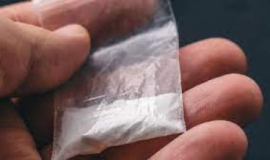 भोरंज से 2.53 ग्राम चिट्टा बरामद