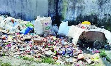 शहर के बाजारों व वार्डो में सफाई व्यवस्था खोल रही नगर परिषद की पोल