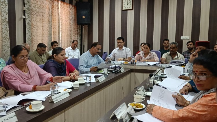 जिला परिषद की त्रैमासिक बैठक में गूंजा चिट्टे का मुद्दा