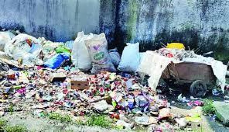 शहर के बाजारों व वार्डो में सफाई व्यवस्था खोल रही नगर परिषद की पोल
