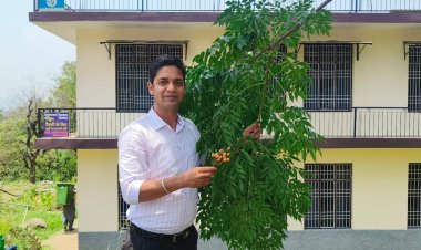 बंजर भूमि को हरा भरा करेगा अब महोगनी पौधे ,किसानों की बढ़ेगी आय