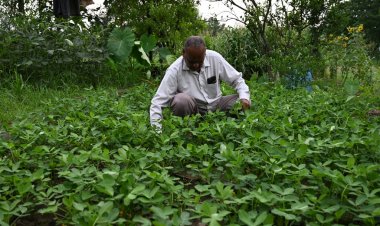 प्राकृतिक खेती में रैल के मुनी लाल ने किया कमाल