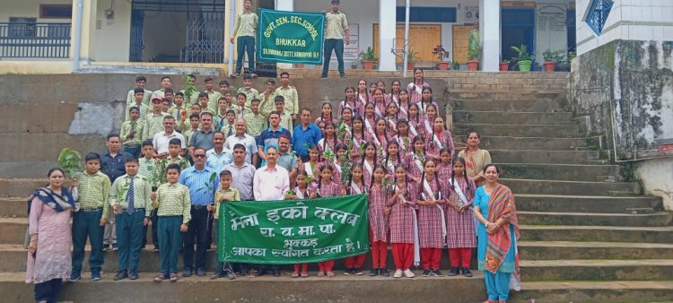 भुक्कड़ स्कूल एक पेड़ स्कूल के नाम अभियान पर लगाये फलदार व औषधीय पौधे।