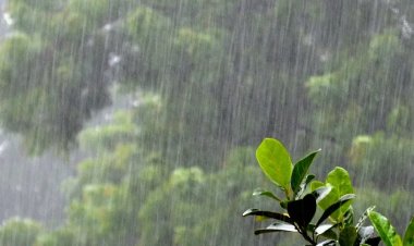 आज से मैदानों में बारिश, ऊपरी क्षेत्रों में बर्फबारी की संभावना