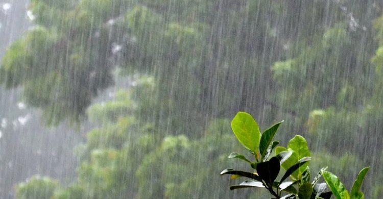 आज से मैदानों में बारिश, ऊपरी क्षेत्रों में बर्फबारी की संभावना