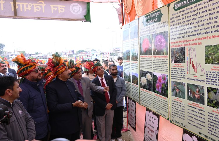 वन संरक्षण की एवज में हिमाचल को मुआवजा राशि दे केंद्र: मुकेश अग्निहोत्री
