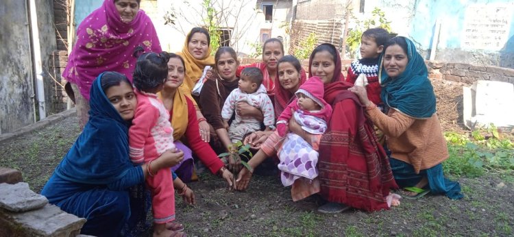 बेटी बचाओ, बेटी पढ़ाओ सप्ताह के अंतिम दिन किया पौधारोपण