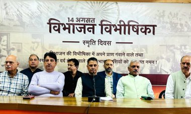 विभाजन से पहले ही सभी को अंदाजा था कि बड़े स्तर पर सांप्रदायिक दंगे हो सकते हैं, रोकने के प्रयास नहीं किये गये : बिहारी