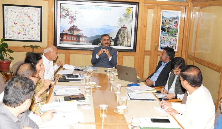 देशी गायों और भैंसों की खरीद के लिए वित्तीय सहायता बढ़ाने पर विचार: मुख्यमंत्री