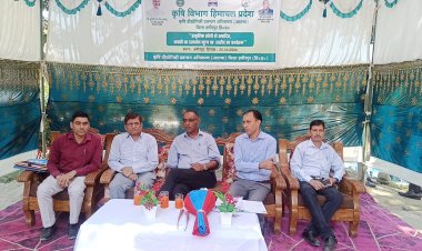 हमीरपुर में प्राकृतिक खेती से तैयार मक्की की खरीद शुरू