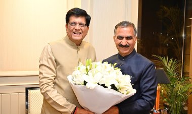 मुख्यमंत्री ने केंद्रीय वाणिज्य एवं उद्योग मंत्री पीयूष गोयल से की भेंट