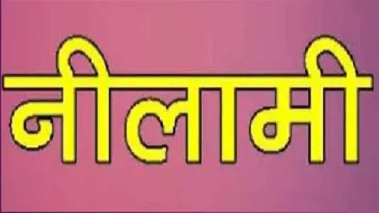 ककड़ियार में दोषी ऋणियों की भूमि की नीलामी 6 फरवरी को