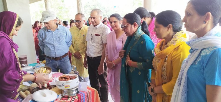 बड़सर में भी निकाली पोषण जागरुकता रैली, मैहरे में लगाया अनीमिया जांच शिविर