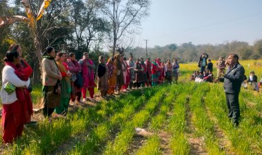 भोरंज के किसानों ने गांव हरनेड़ में समझी प्राकृतिक खेती की बारीकियां