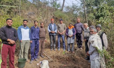 मैड़ ग्राम सुधार सभा द्वारा शमशान घाट परिसर में पौधारोपण कार्यक्रम आयोजित