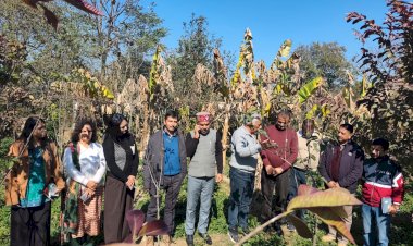 किसानों-बागवानों के हित में मुख्यमंत्री ने लिए सराहनीय निर्णय : अजय शर्मा