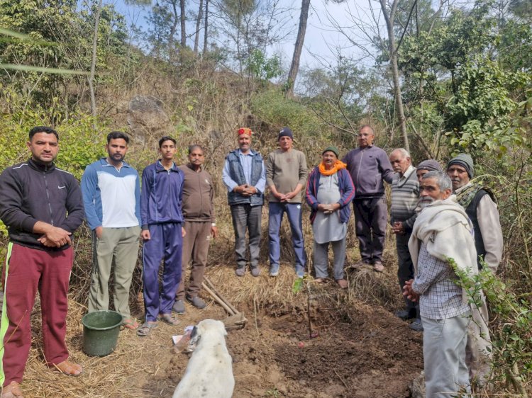 मैड़ ग्राम सुधार सभा द्वारा शमशान घाट परिसर में पौधारोपण कार्यक्रम आयोजित