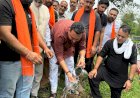 विधायक आशीष शर्मा ने बल्ह बूथ पर किया पौधारोपण भाजपा किसान मोर्चा के पौधरोपण अभियान का हुआ शुभारंभ