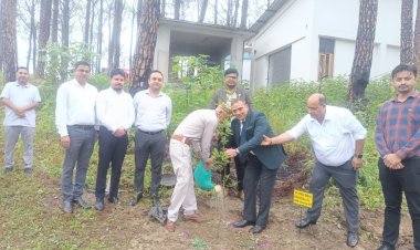जिला विधिक सेवाएं प्राधिकरण ने आयोजित किया पौधारोपण कार्यक्रम