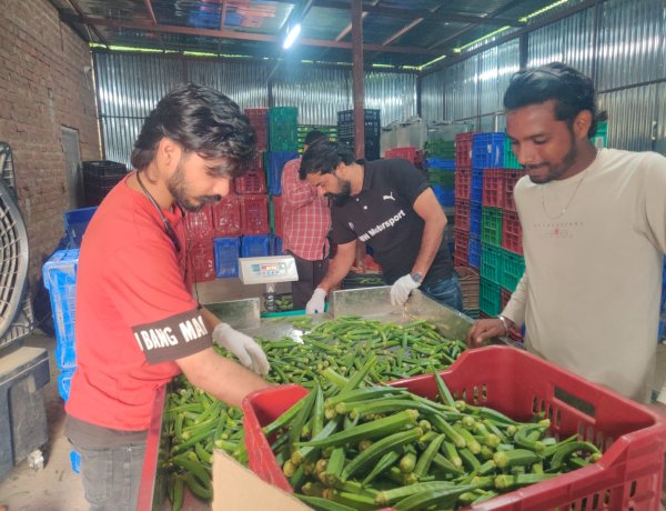 अमेजॉन फ्रेश से जुड़े हमीरपुर के किसान, सफल रहा पहला ट्रायल
